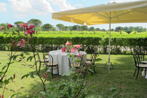 Tesa dei Tiepolo - Giardino