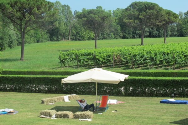 Tesa dei Tiepolo - Giardino