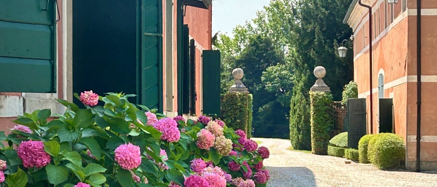 IMG_9498-r80vzpbid7arneu90itjp0xi4ouhb1wzhwmz86w1gw