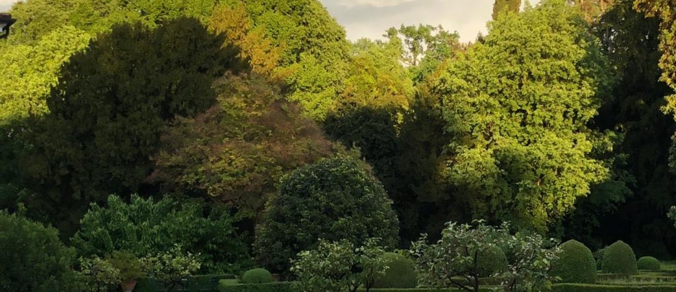 VillaTiepoloPassi-parcoromantico